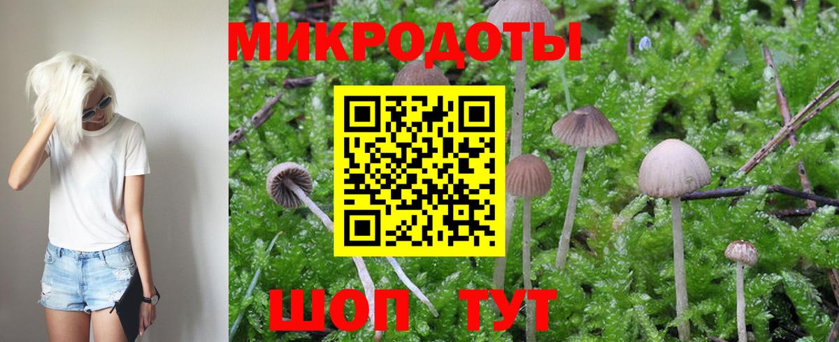 Псилоцибиновые грибы Cubensis Клин
